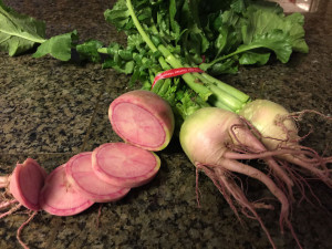 Watermelon Radish