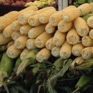 Underwood Bi-Color Corn