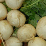 vjapanese_turnips