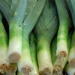 vleeks