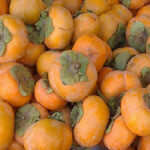 vpersimmons211