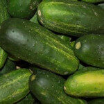 vpickling_cucumbers